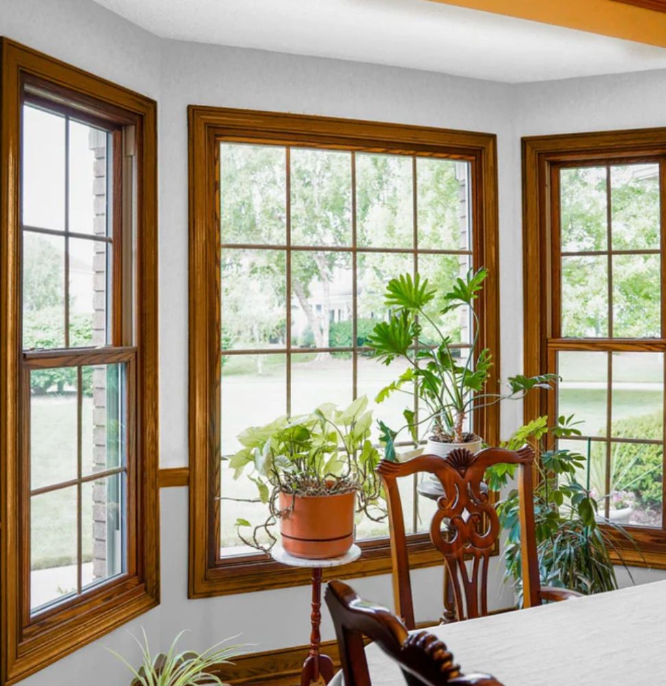 timber-double-glazing-in-brighton